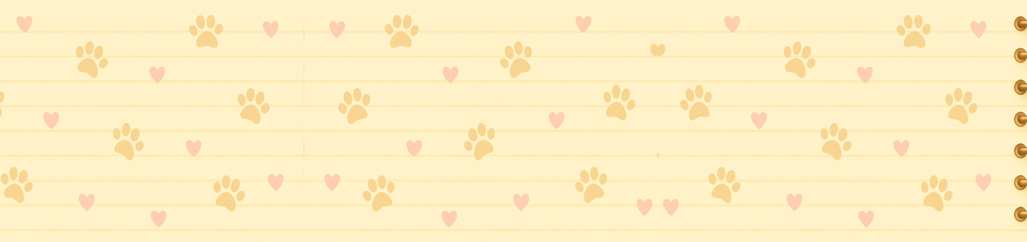 Katata Cat